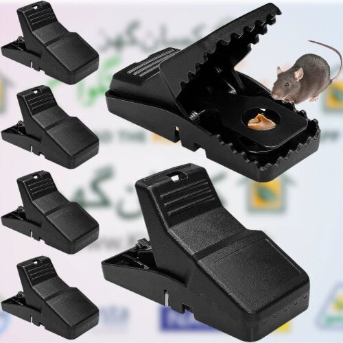 Heavy Duty Plastic Mouse Trap